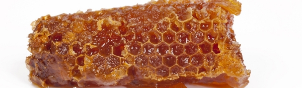PROPÓLEOS / Apícola Queen Honey Miel y Polen Ceclavín ( Cáceres )